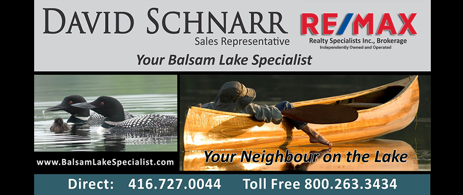 Balsam Lake Cottages David Schnarr Re Max Realty Specialists